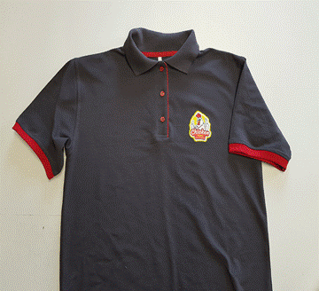 Tricou polo bicolor